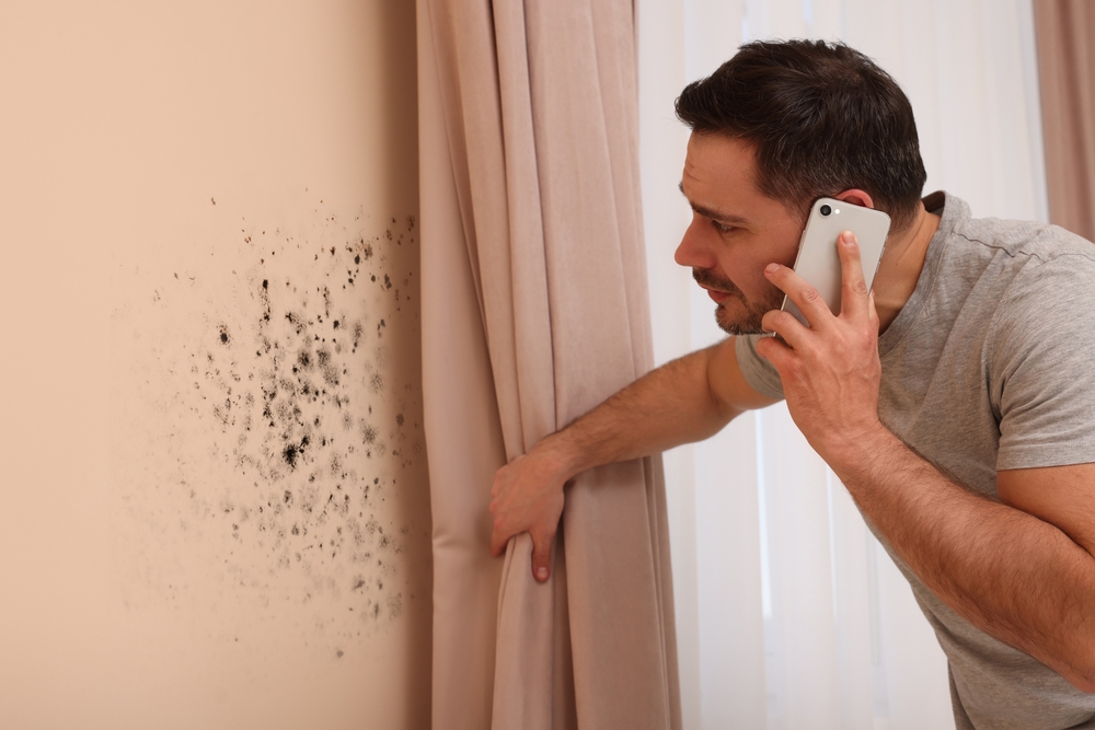 Man on the phone discovers mold growing behind a curtain in his house
