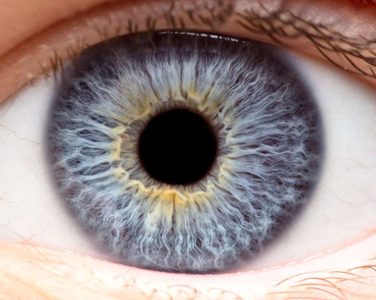 Common Corneal Problems to Look Out For