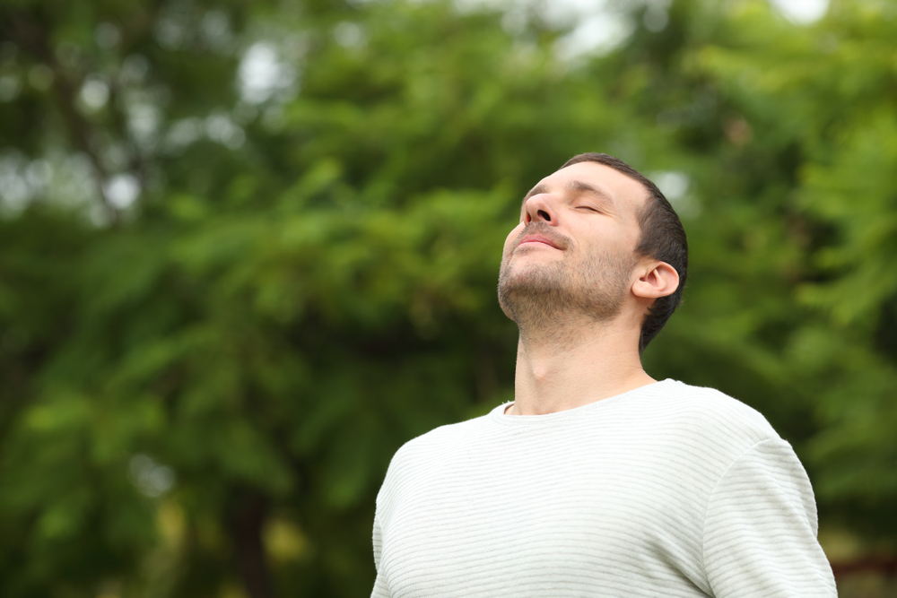Sinus Augmentation Surgery Seattle
