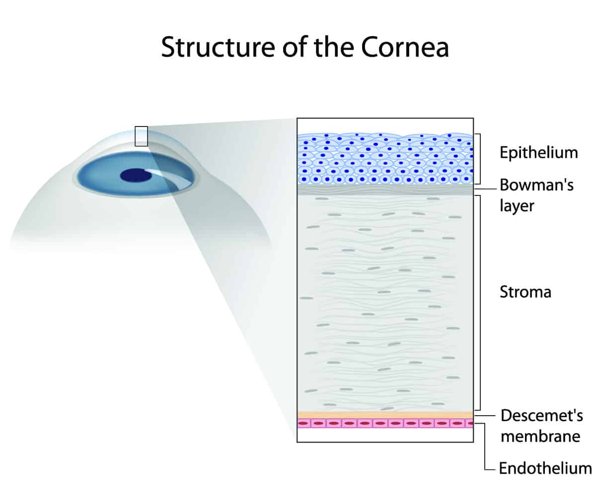 Cornea Specialist in Boston